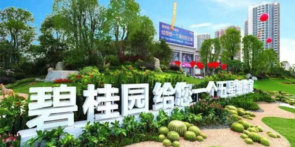 碧桂园